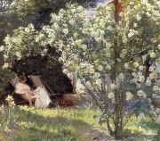 Peder Severin Kroyer Rose Garden oil on canvas